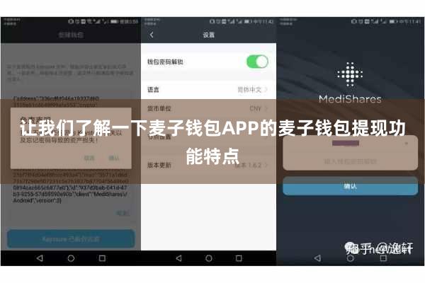 让我们了解一下麦子钱包APP的麦子钱包提现功能特点