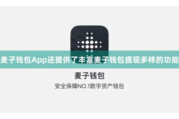 麦子钱包App还提供了丰富麦子钱包提现多样的功能