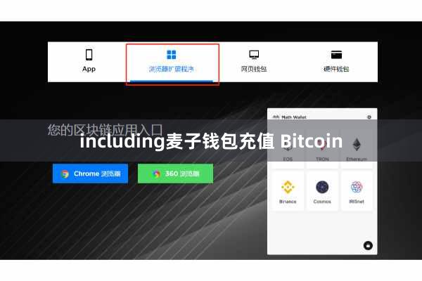 including麦子钱包充值 Bitcoin