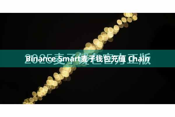 Binance Smart麦子钱包充值 Chain