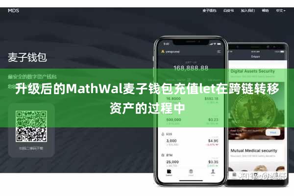 升级后的MathWal麦子钱包充值let在跨链转移资产的过程中