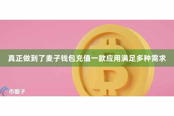 真正做到了麦子钱包充值一款应用满足多种需求