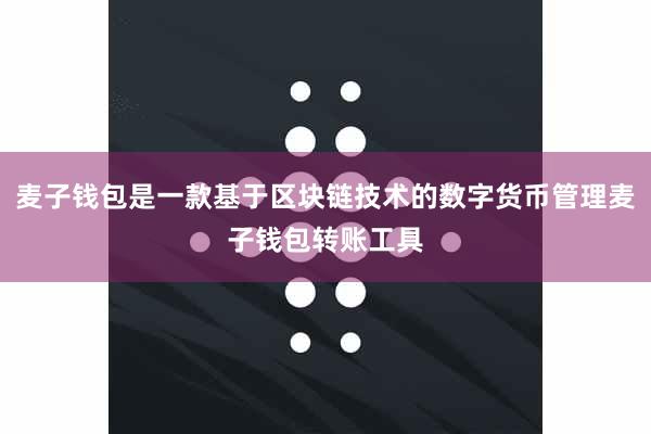 麦子钱包是一款基于区块链技术的数字货币管理麦子钱包转账工具