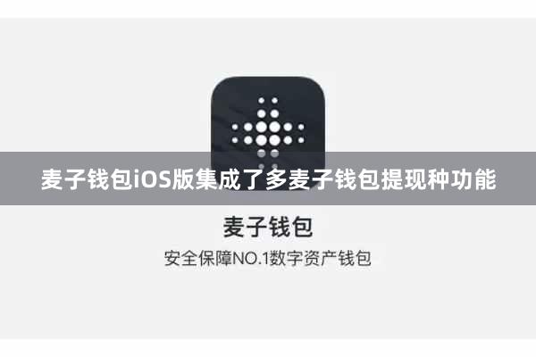 麦子钱包iOS版集成了多麦子钱包提现种功能