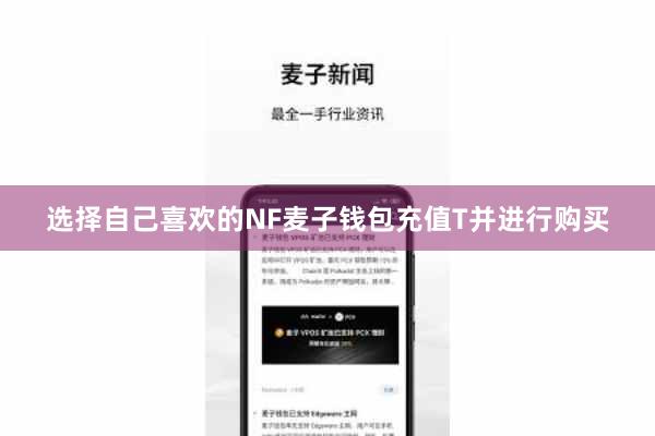 选择自己喜欢的NF麦子钱包充值T并进行购买