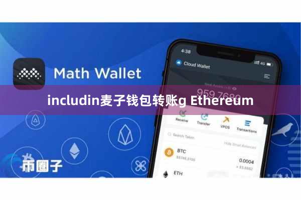 includin麦子钱包转账g Ethereum