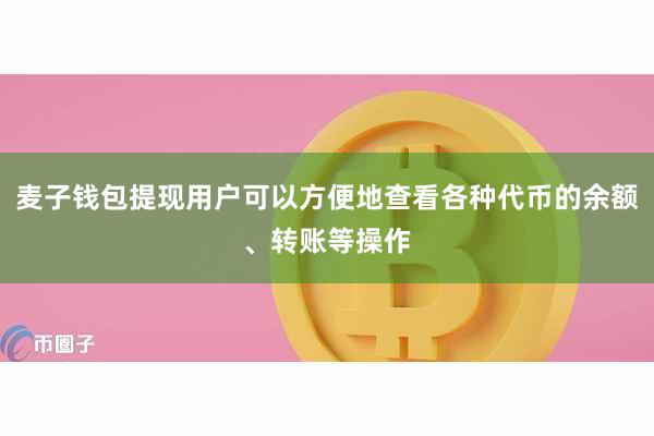 麦子钱包提现用户可以方便地查看各种代币的余额、转账等操作