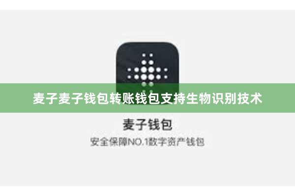 麦子麦子钱包转账钱包支持生物识别技术