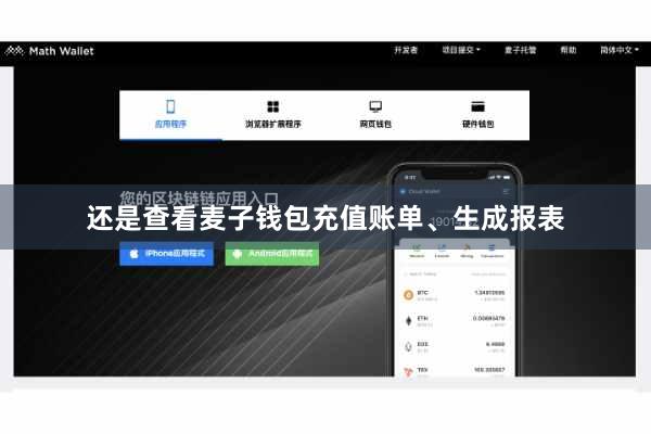 还是查看麦子钱包充值账单、生成报表