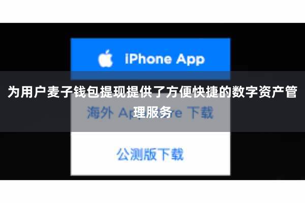 为用户麦子钱包提现提供了方便快捷的数字资产管理服务
