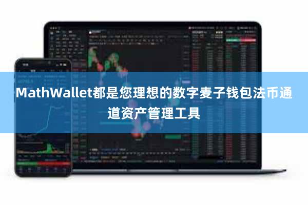 MathWallet都是您理想的数字麦子钱包法币通道资产管理工具
