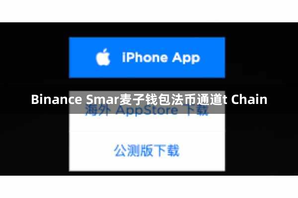 Binance Smar麦子钱包法币通道t Chain