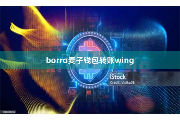 borro麦子钱包转账wing