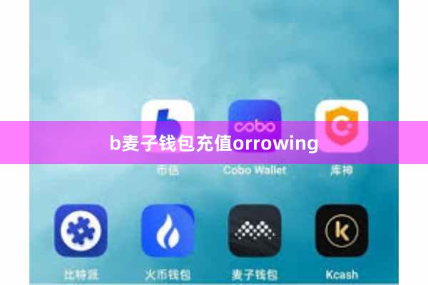 b麦子钱包充值orrowing
