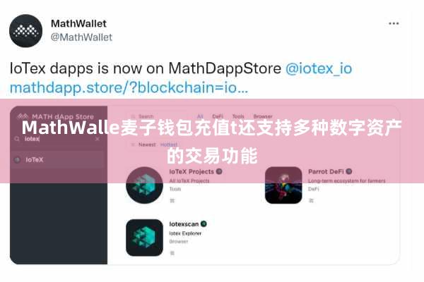MathWalle麦子钱包充值t还支持多种数字资产的交易功能