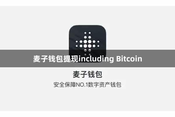 麦子钱包提现including Bitcoin