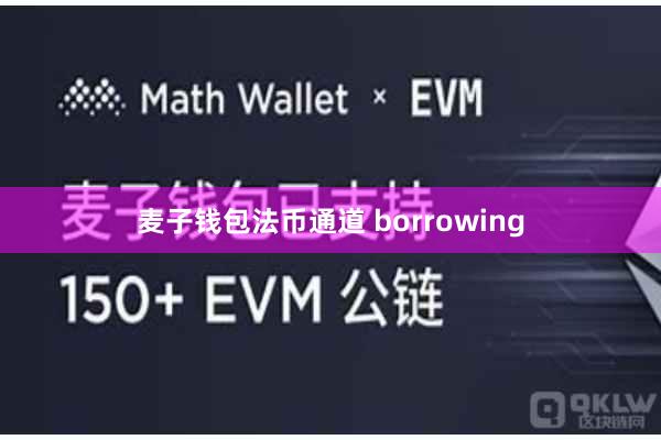 麦子钱包法币通道 borrowing