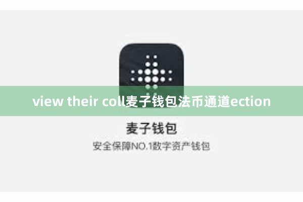 view their coll麦子钱包法币通道ection