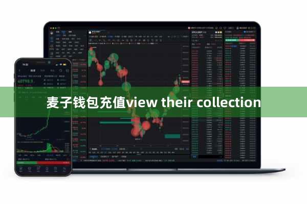 麦子钱包充值view their collection