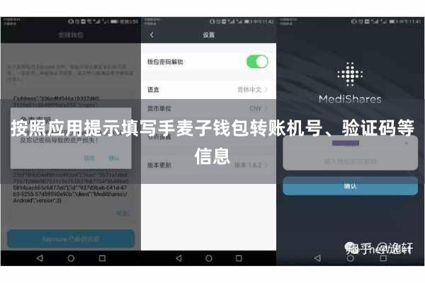 按照应用提示填写手麦子钱包转账机号、验证码等信息