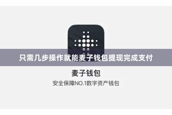 只需几步操作就能麦子钱包提现完成支付