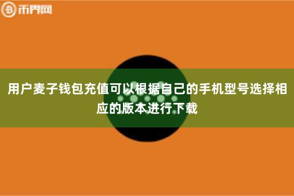 用户麦子钱包充值可以根据自己的手机型号选择相应的版本进行下载