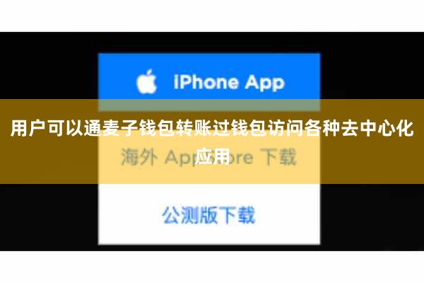 用户可以通麦子钱包转账过钱包访问各种去中心化应用