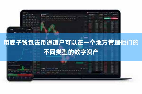 用麦子钱包法币通道户可以在一个地方管理他们的不同类型的数字资产