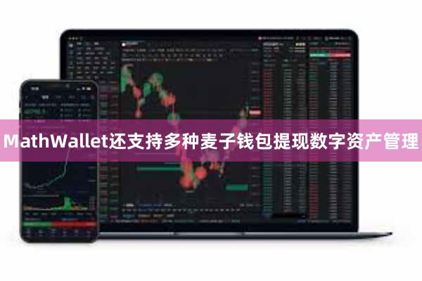 MathWallet还支持多种麦子钱包提现数字资产管理