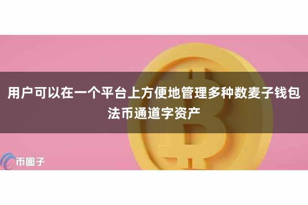 用户可以在一个平台上方便地管理多种数麦子钱包法币通道字资产